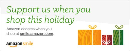 amazonholiday