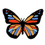 Leah butterfly.jpg